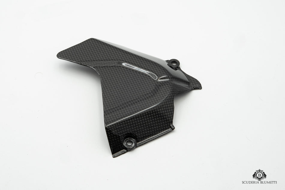 Ducati 1098 1198 848 748 916 999 996 S Ritzelabdeckung Echtcarbon für diverse Modelle