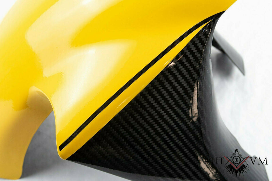 Ducati 748 916 996 998 Carbon Fender Kotflügel vorne 2