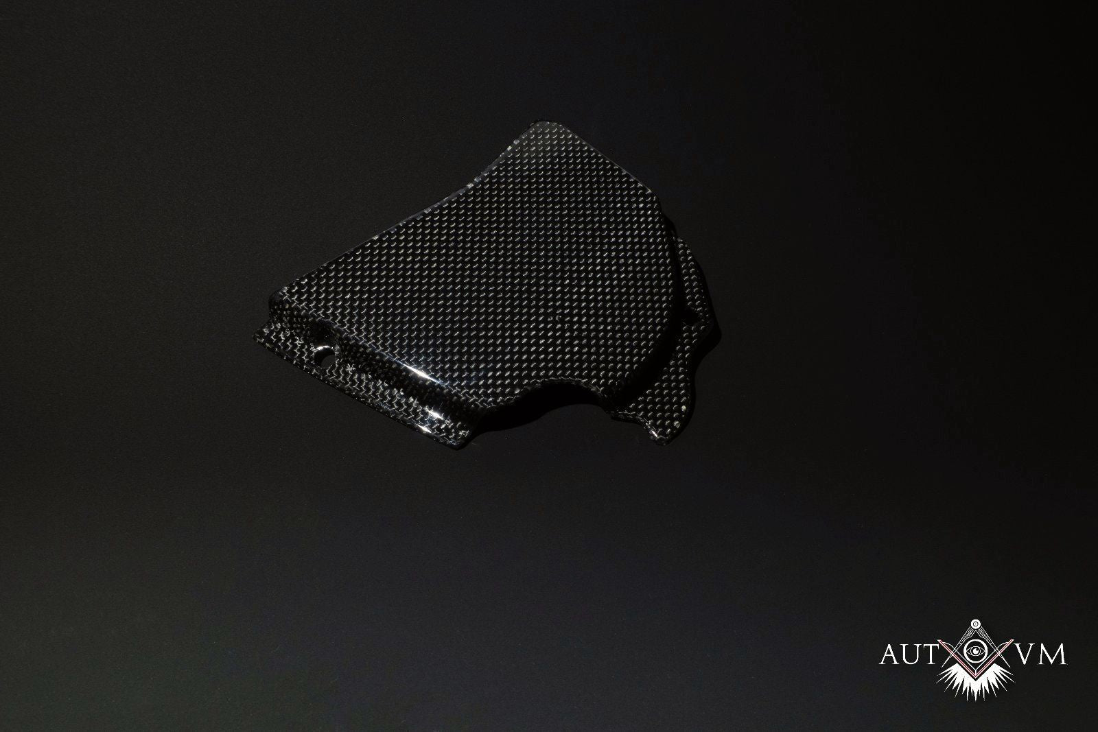Ducati Carbon Tuning Ritzelabdeckung 748 916 Monster S4 ST2 ST4 996 888 1