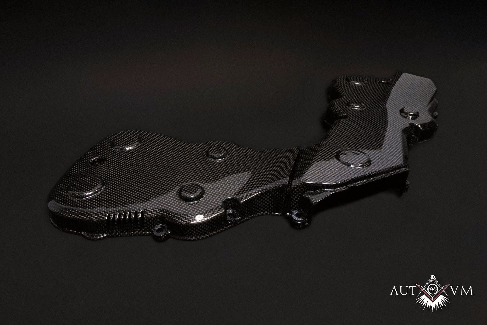 Ducati 1098 1198 848 Zahnriemenabdeckungen Cover Timing Belt Cover Carbon Fibre