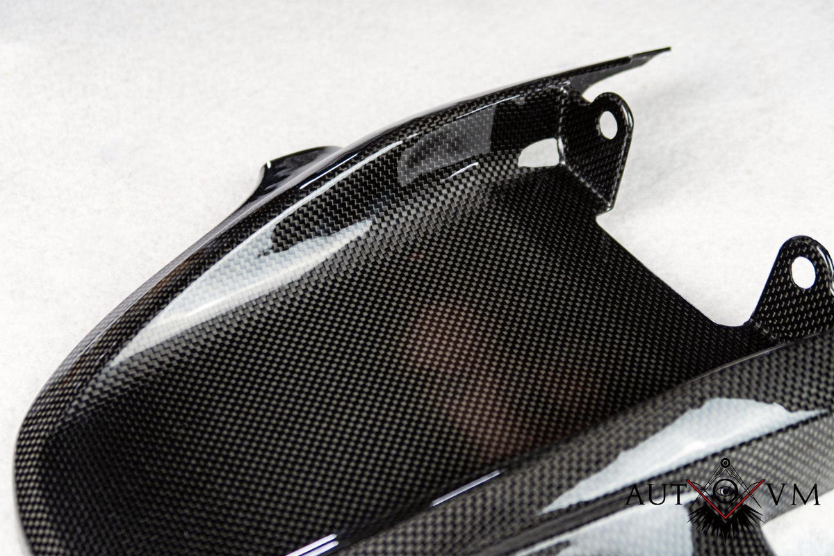 Ducati Ur Monster Carbon Kohlefaser Heckteil lang 2